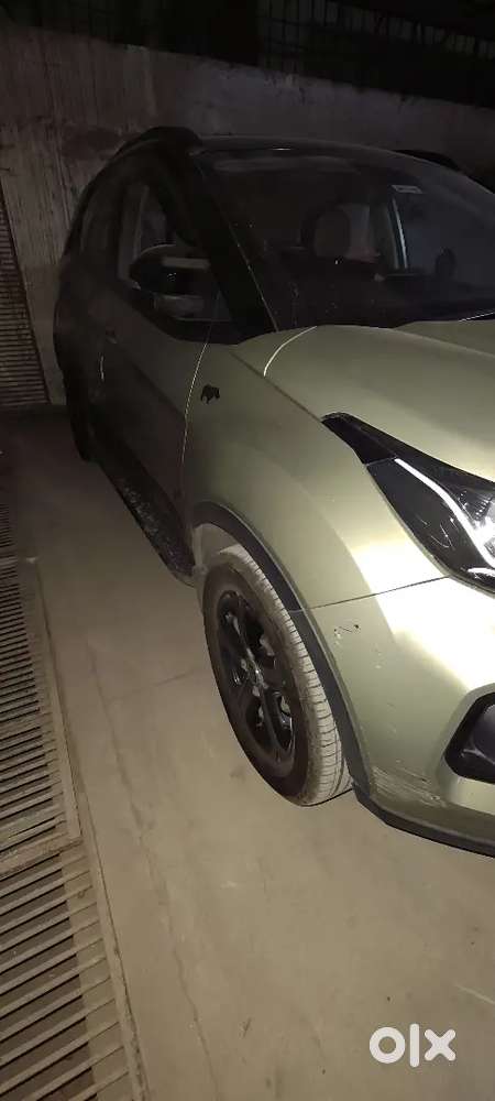Tata Nexon Xza+ Lux (s) Kaziranga Edition