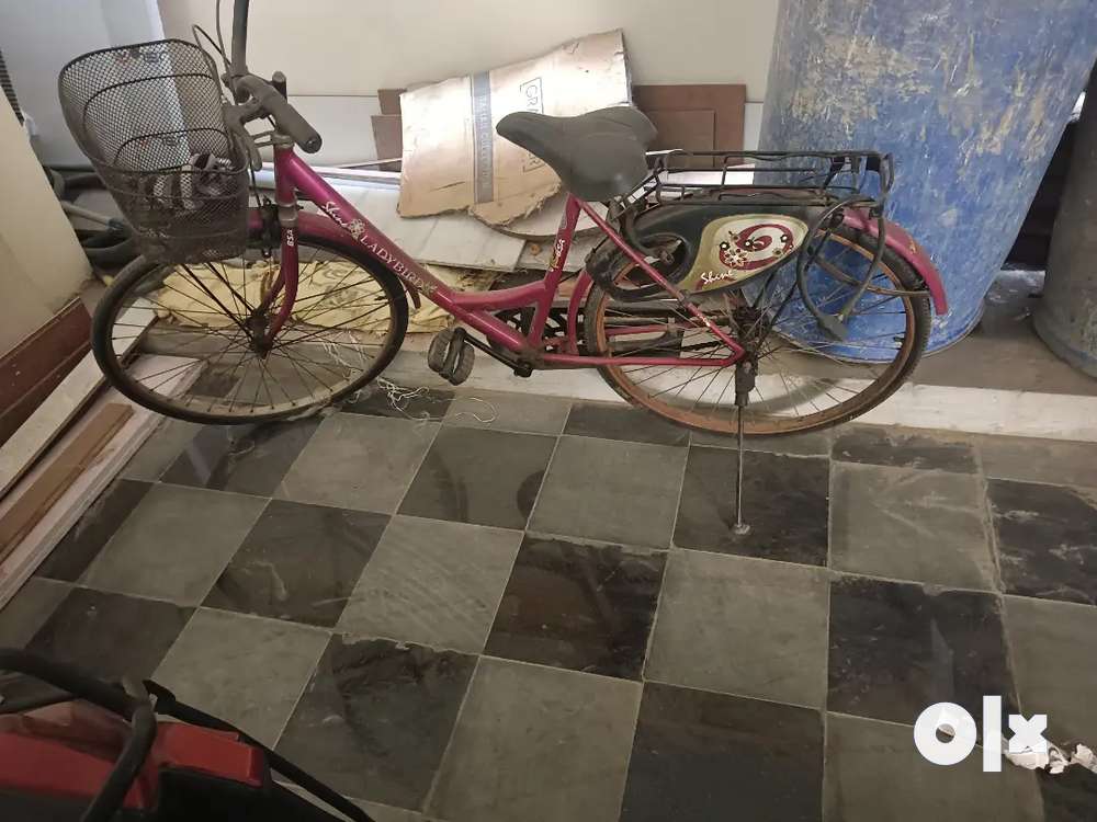 Lady bird 2025 cycle in olx