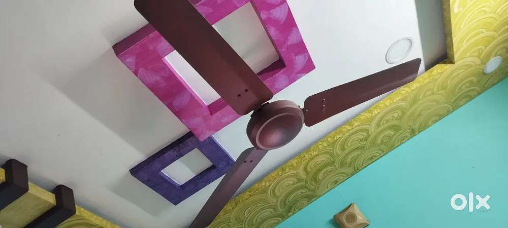 With two cieling fans