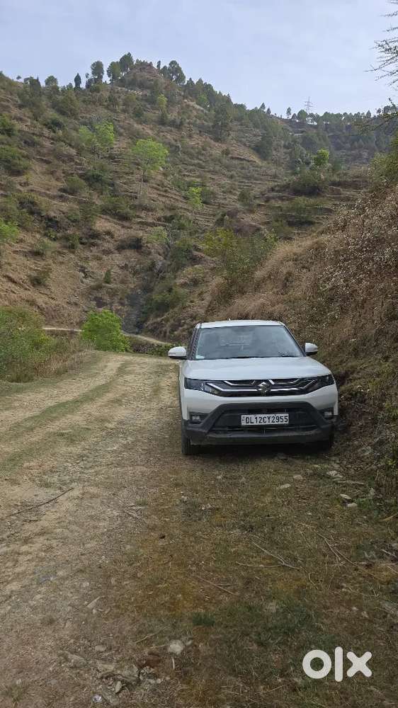 Maruti Suzuki Brezza 1.5 Lxi Cng 2024