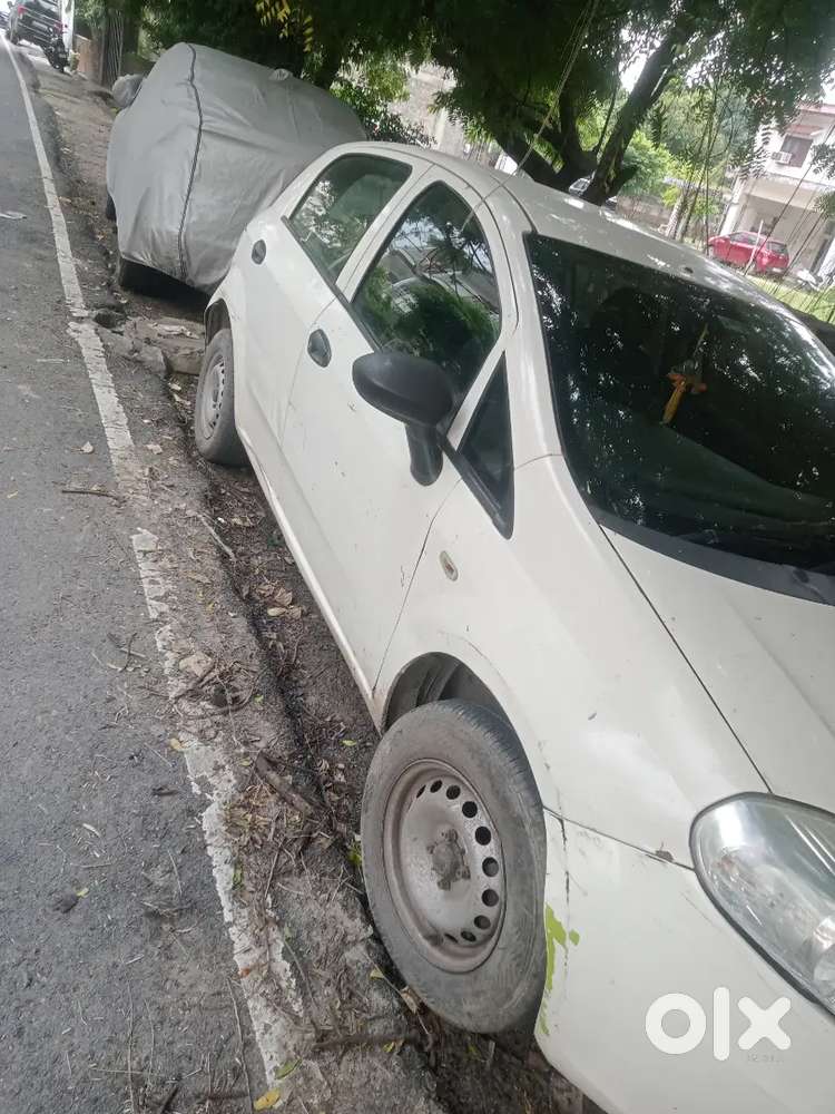 Fiat Punto Active 2016