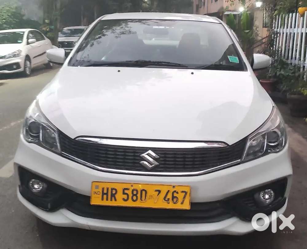 Maruti Suzuki Ciaz 2024 Cng & Hybrids Well Maintained