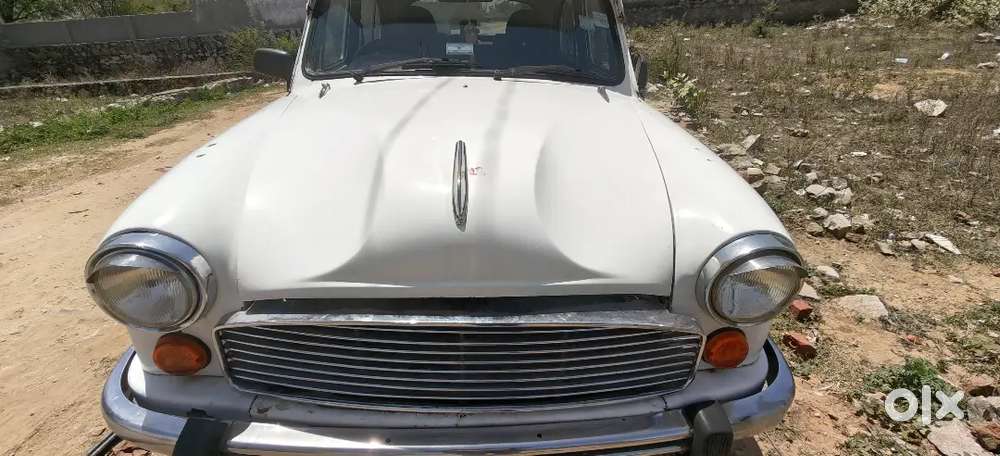 Ambassador Ambassador 2005