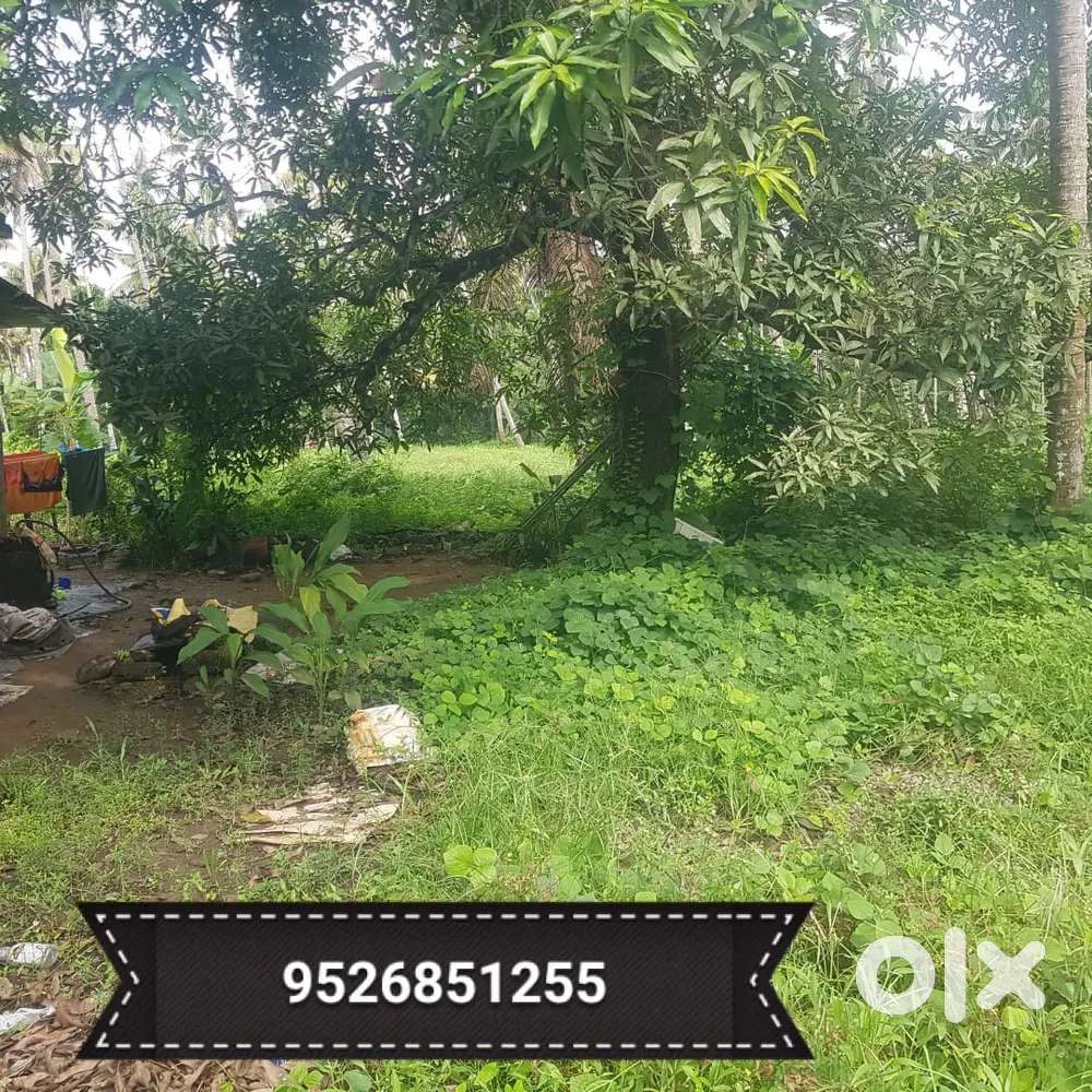 10sent for sale Lands & Plots 1752811407