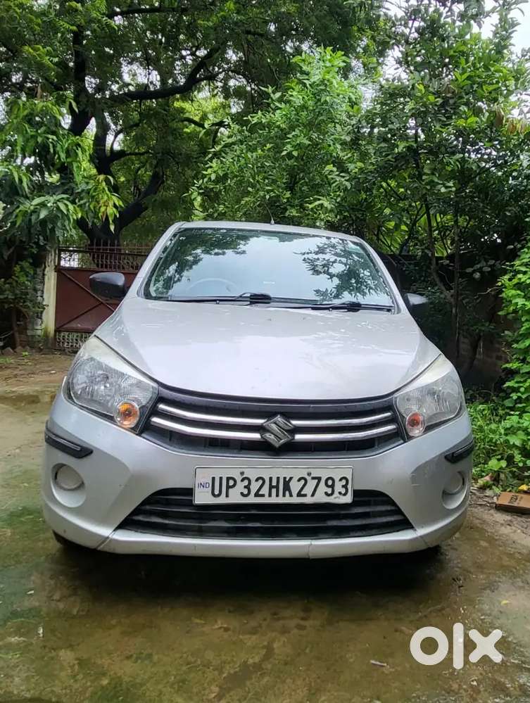 Selero New Condition