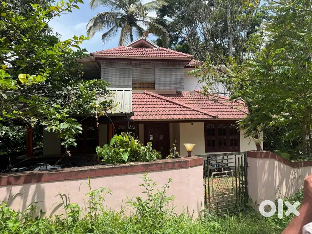 HOUSE FOR RENT IN WAYAND