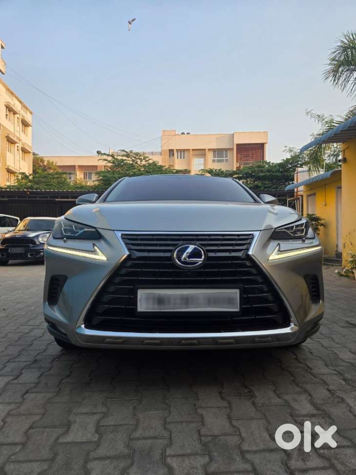 Lexus Nx Lexus-nx-300h-luxury, 2019, Petrol