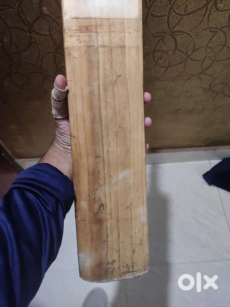 SG Century Classic cricket bat Sports Equipment 1754136116