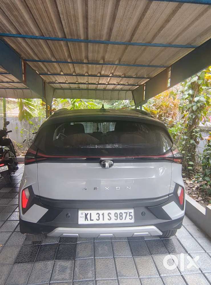 Tata Nexon 2024 Petrol Well Maintained