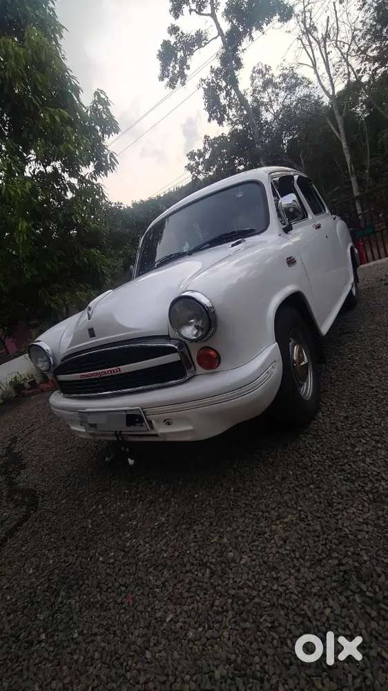 Ambassador Grand  2009 Single Owner