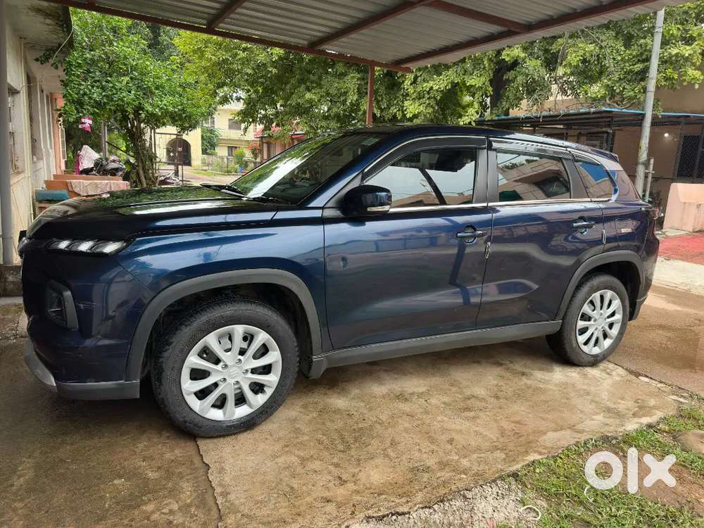 Maruti Suzuki Grand Vitara E20 Fuel