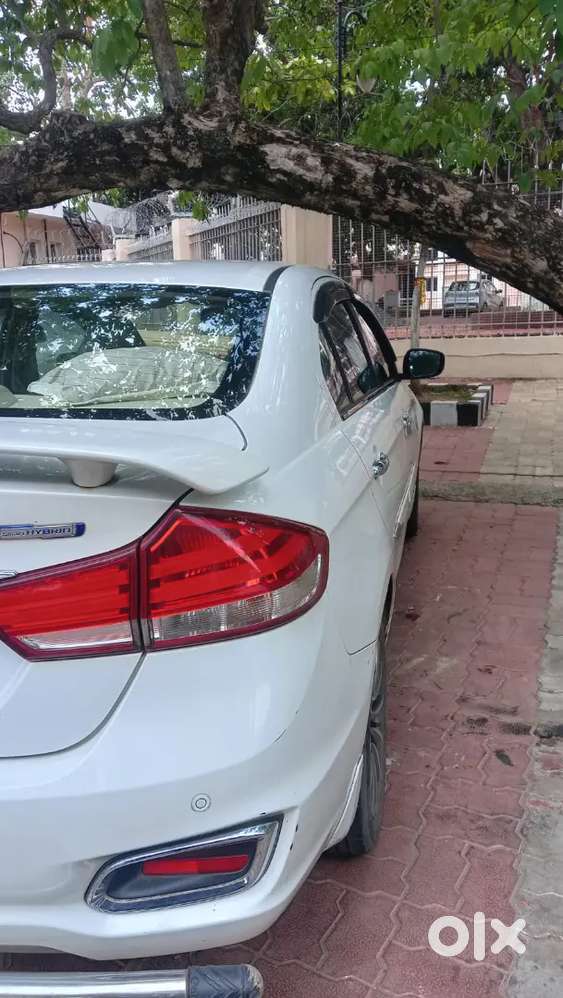 Maruti Ciaz Alpha Mt Petrol (top Model)- 2018 Excellent Condition