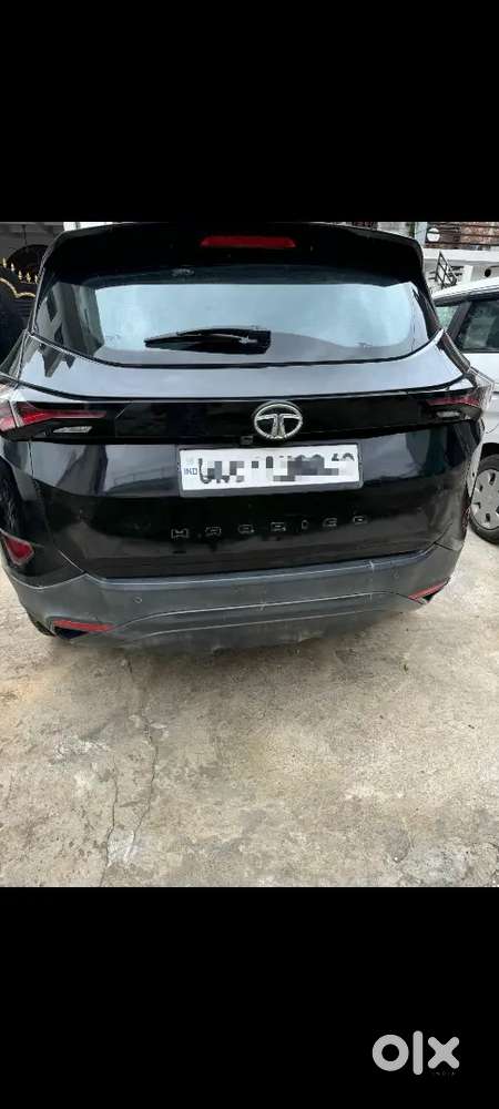 New Car Leni He         New Car