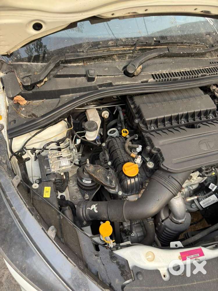 Tata Tiago 2024 Petrol 8000 Km Driven