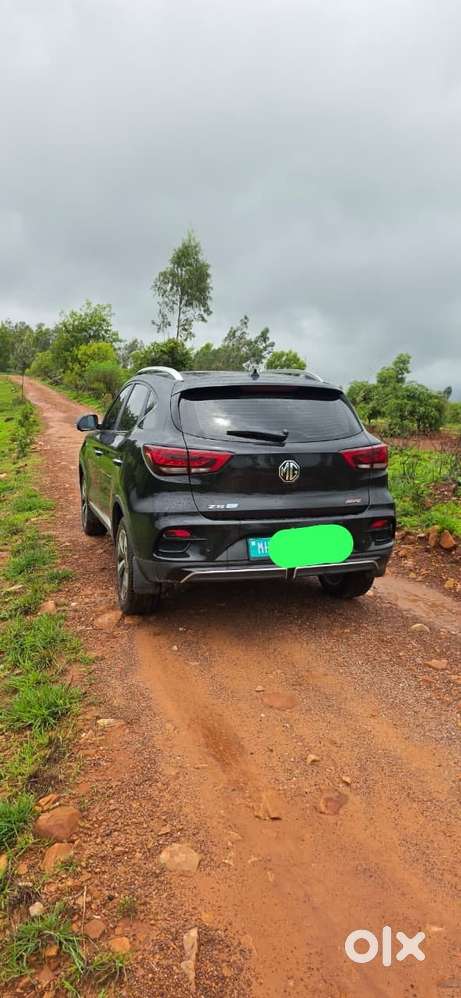 Mg Zs Ev, 2025