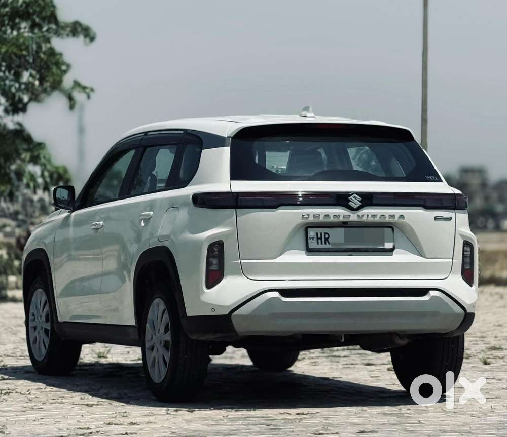 Maruti Suzuki Grand Vitara 1.5 Delta Smart Hybrid, 2024, Petrol