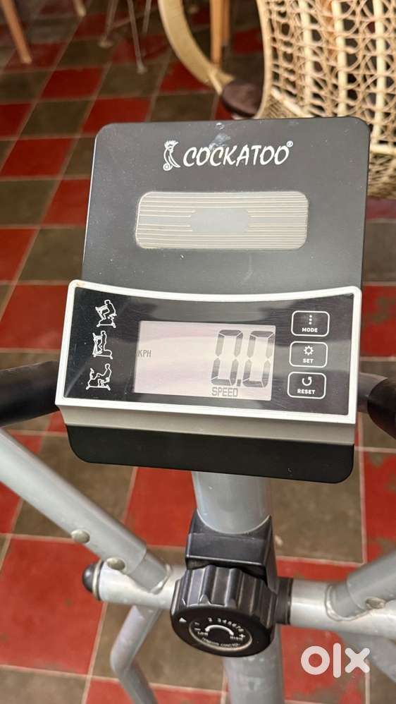 cockatoo elliptical cross trainer