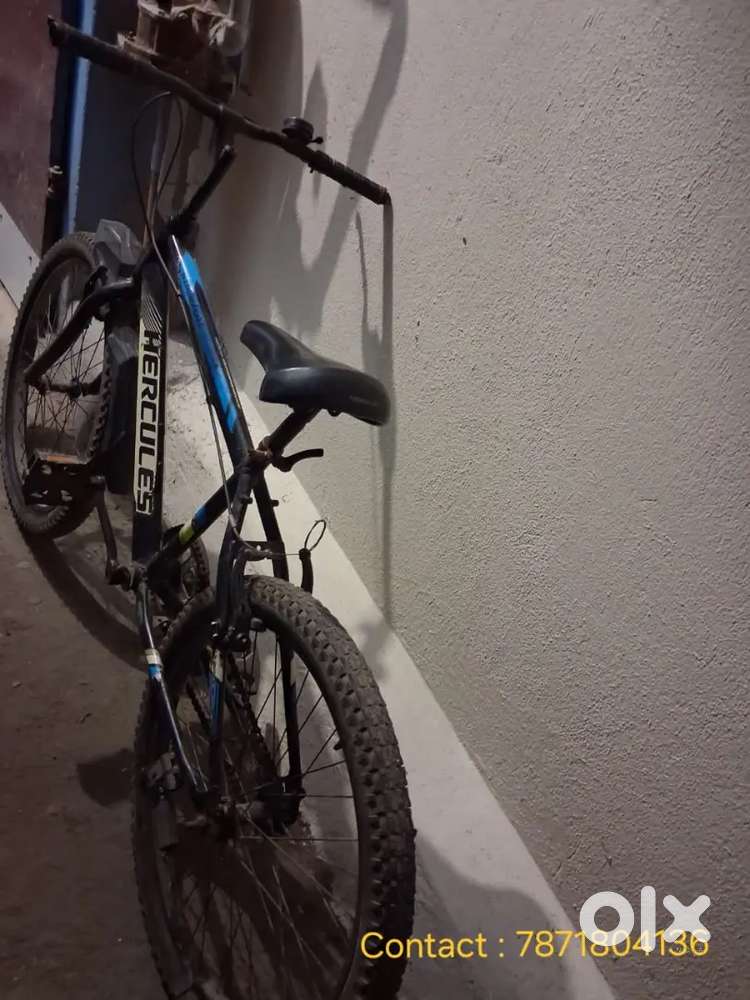 Bicycle boys