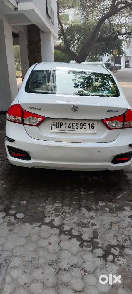 Maruti Suzuki Ciaz S 2021 Petrol 450000 Km Driven
