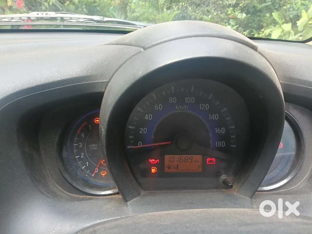 Fresh Condition