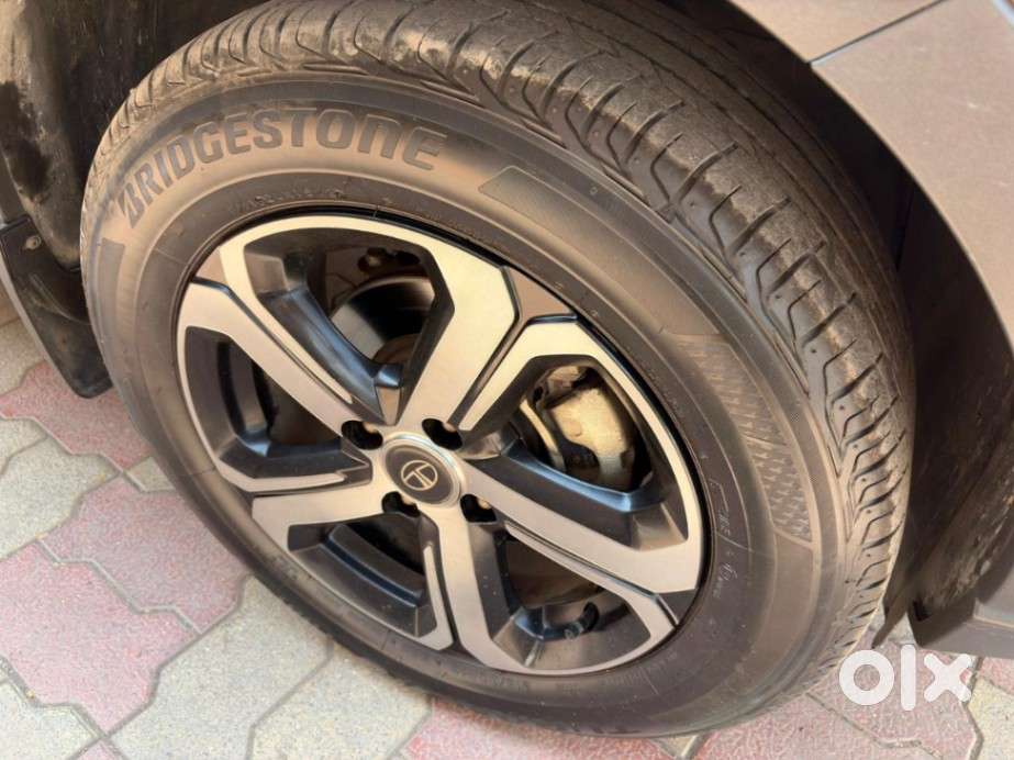 Tata Nexon Xz Plus Luxs Kaziranga, 2023, Petrol