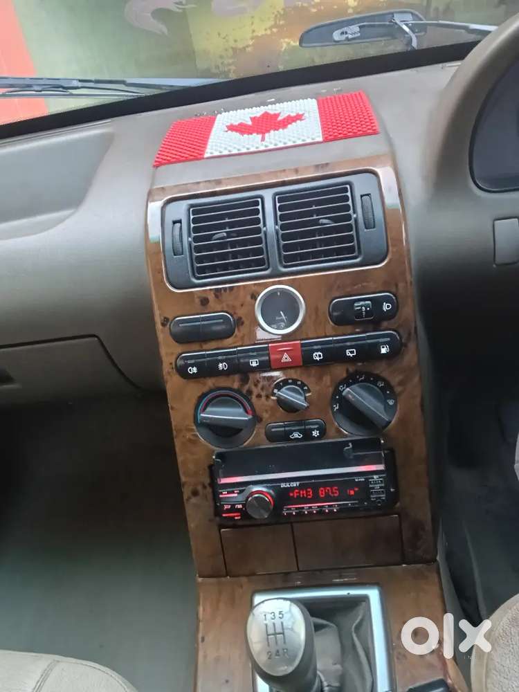 Safari Is Driving On Single Hand