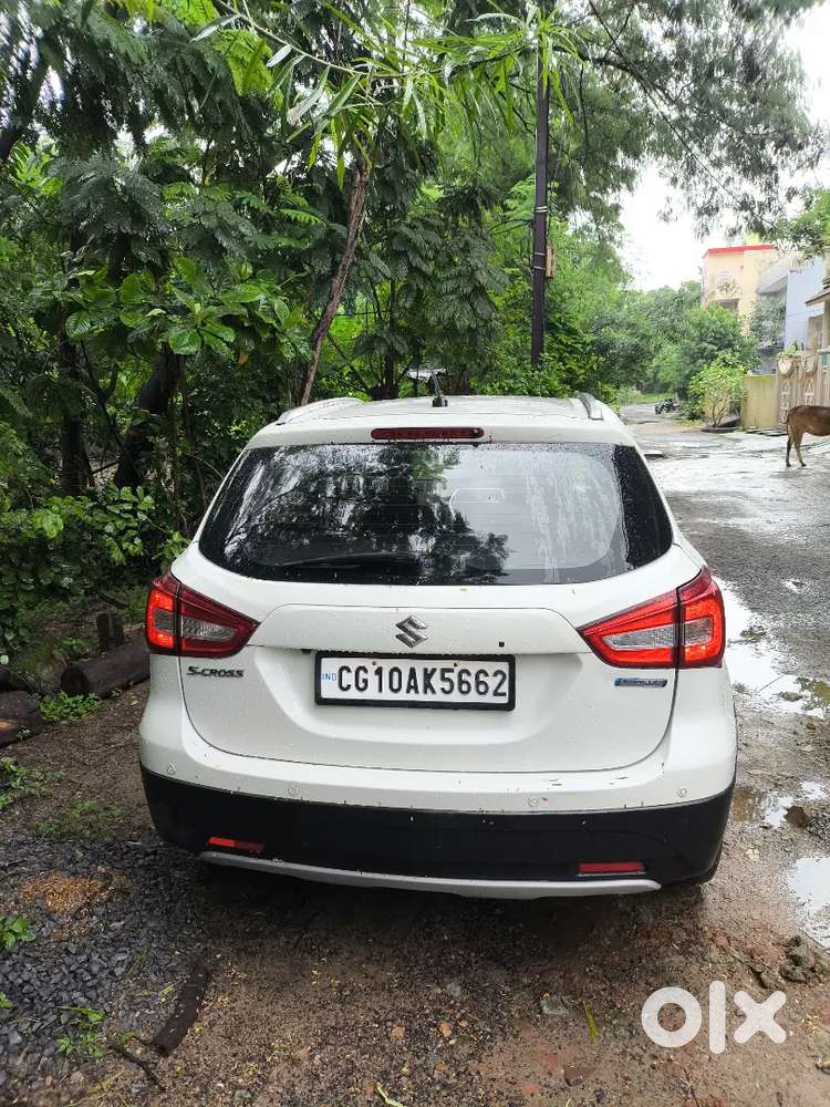 S-cross Top Model