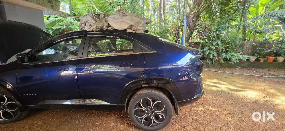 Tata Curvv  Petrol Automatic  Opera Blue  2024  5,000 Km