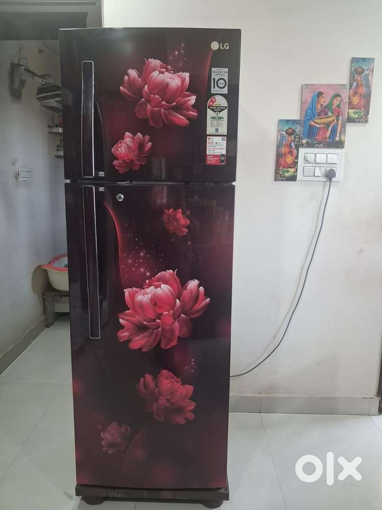 315 litres double door fridge LG