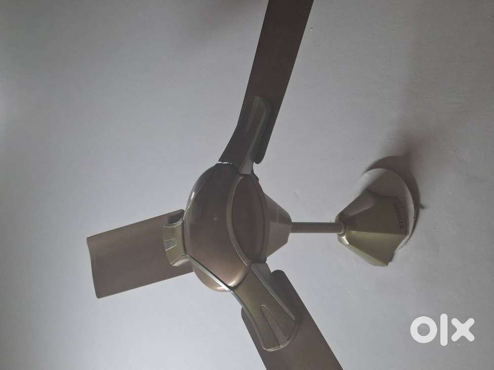 Ceiling fans havells