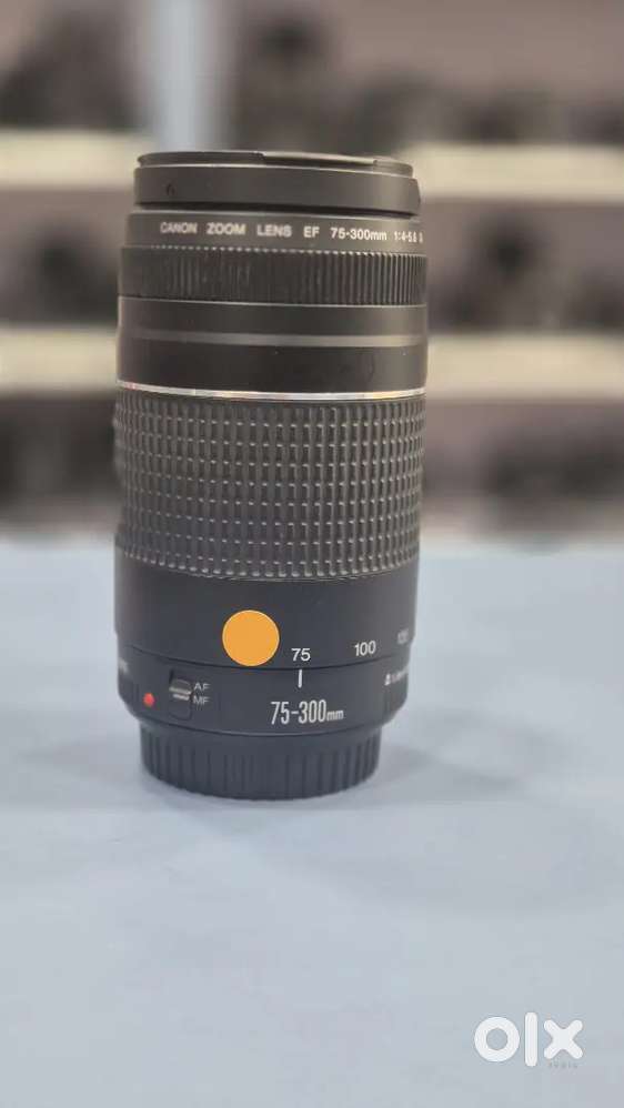 Canon EF 75-300mm f/4-5.6 – Wildlife & Sports Lens - Cameras