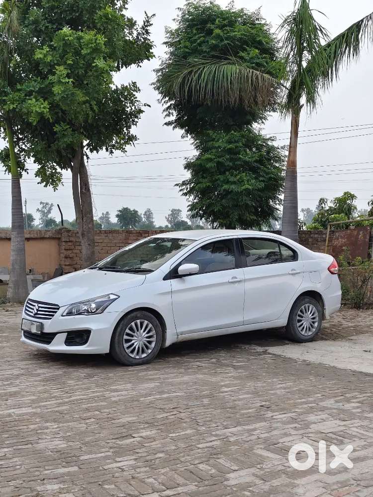 Maruti Suzuki Ciaz 2015 Diesel Manual In Good Condition.