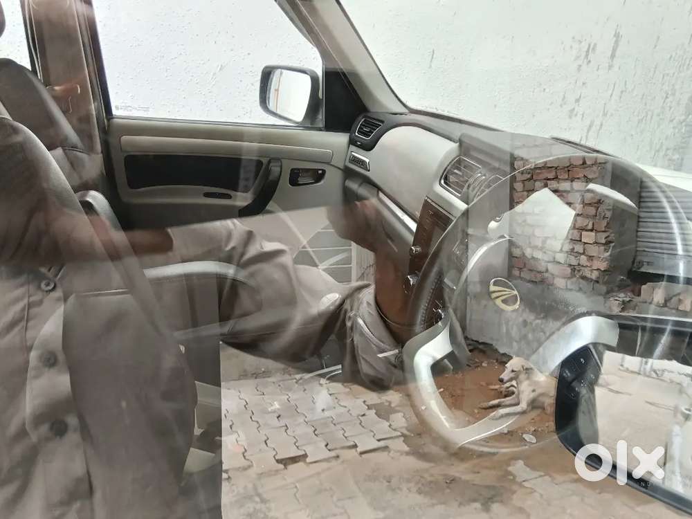 Capitan Seats,all Miror Nal De Less Use