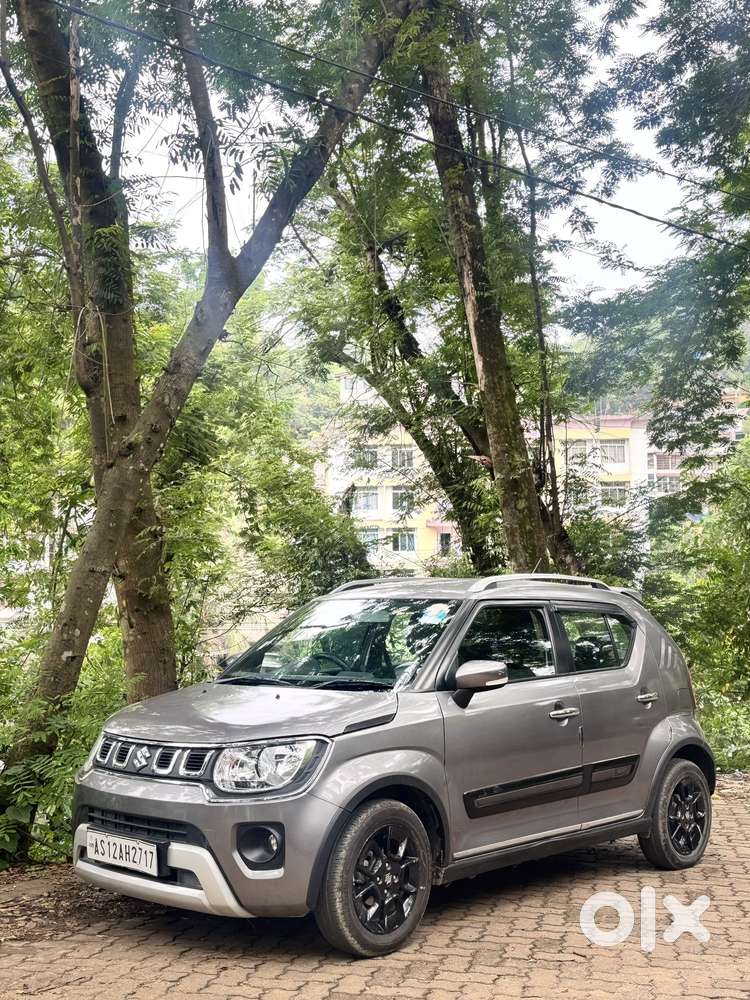 Maruti Suzuki Ignis 1.2 Delta Mt, 2023, Petrol