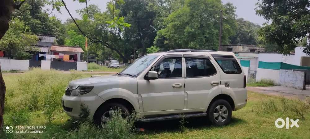 Safari Storme