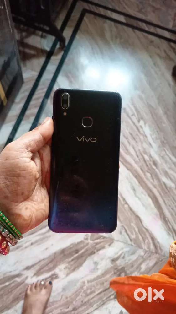 Mrdel vivo v3 6 year old