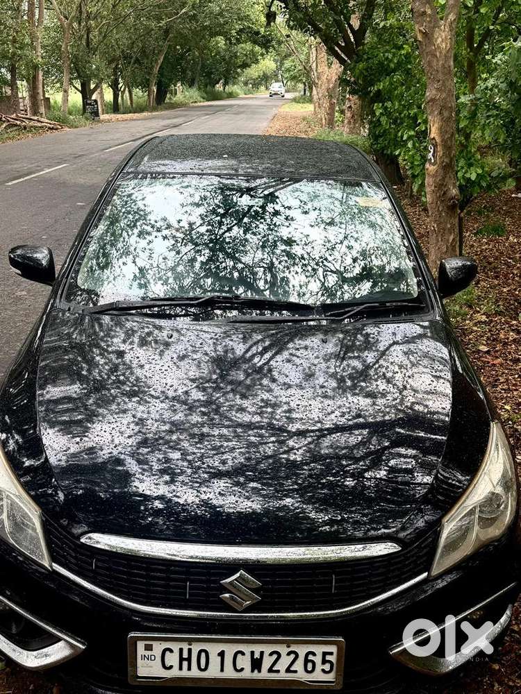 Maruti Suzuki Diesel 2014