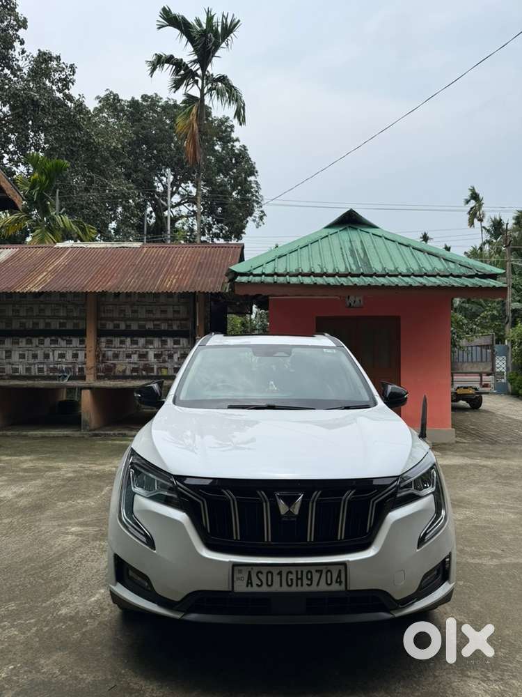 Mahindra Xuv700 2025 Petrol Well Maintained