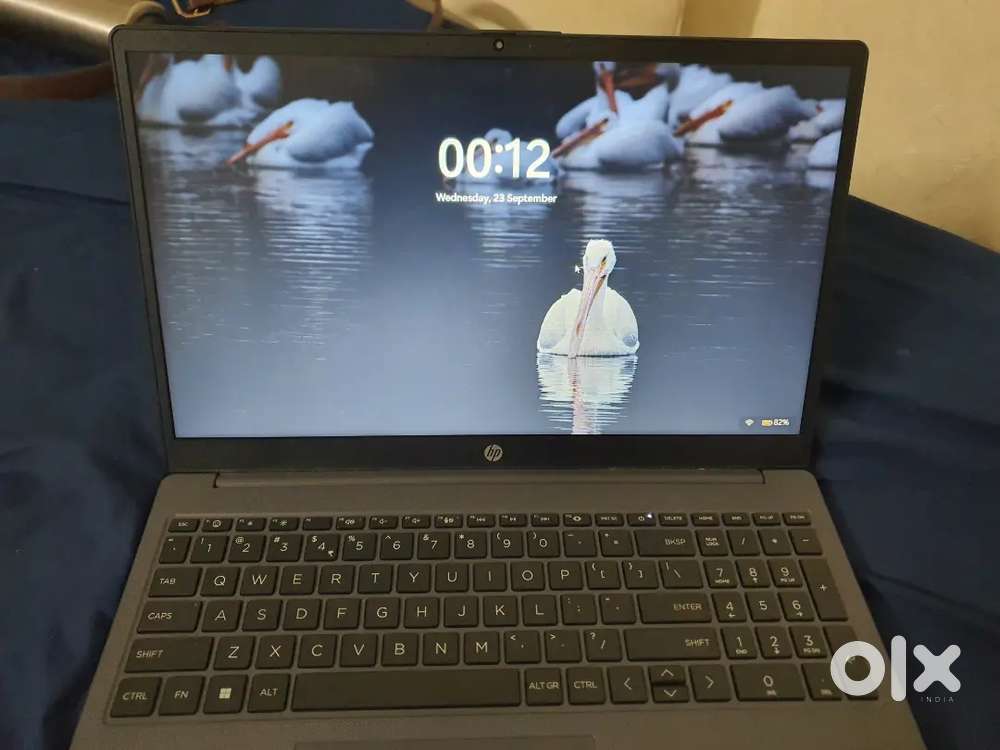 Hp 255 15.6 inch G10 Notebook PC