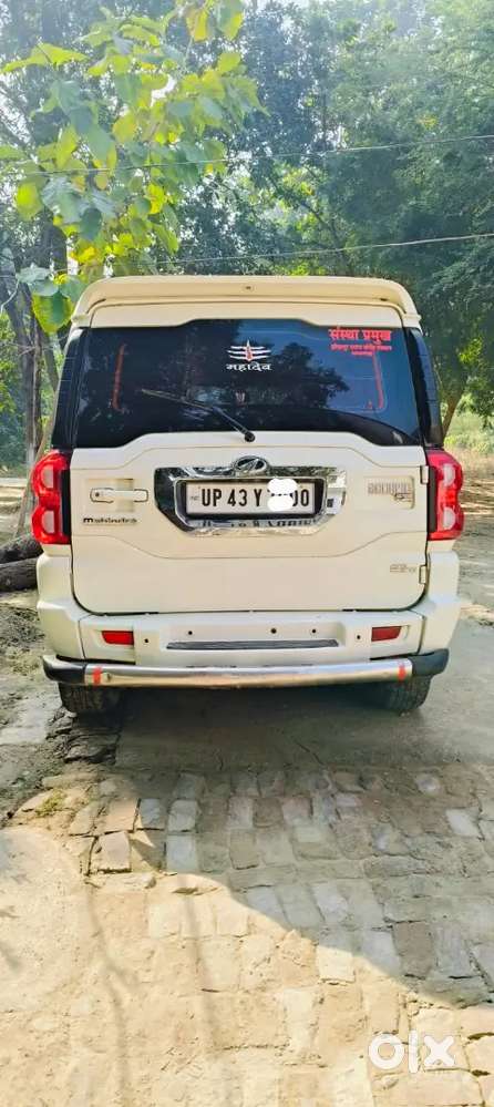 No Problem Vip No Urgent Sell