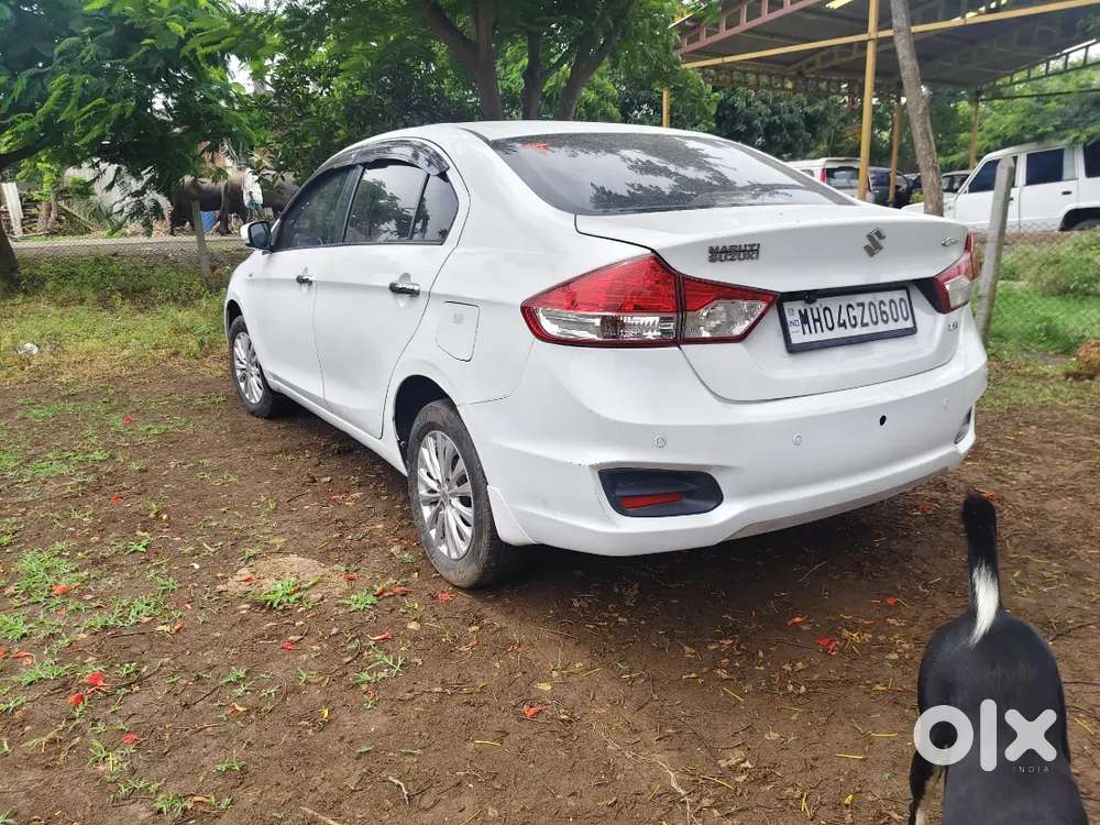 Ciaz Maruti Suzuki 2015 Zxi Plus