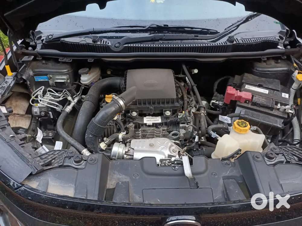 Tata Nexon 2024 Petrol Well Maintained