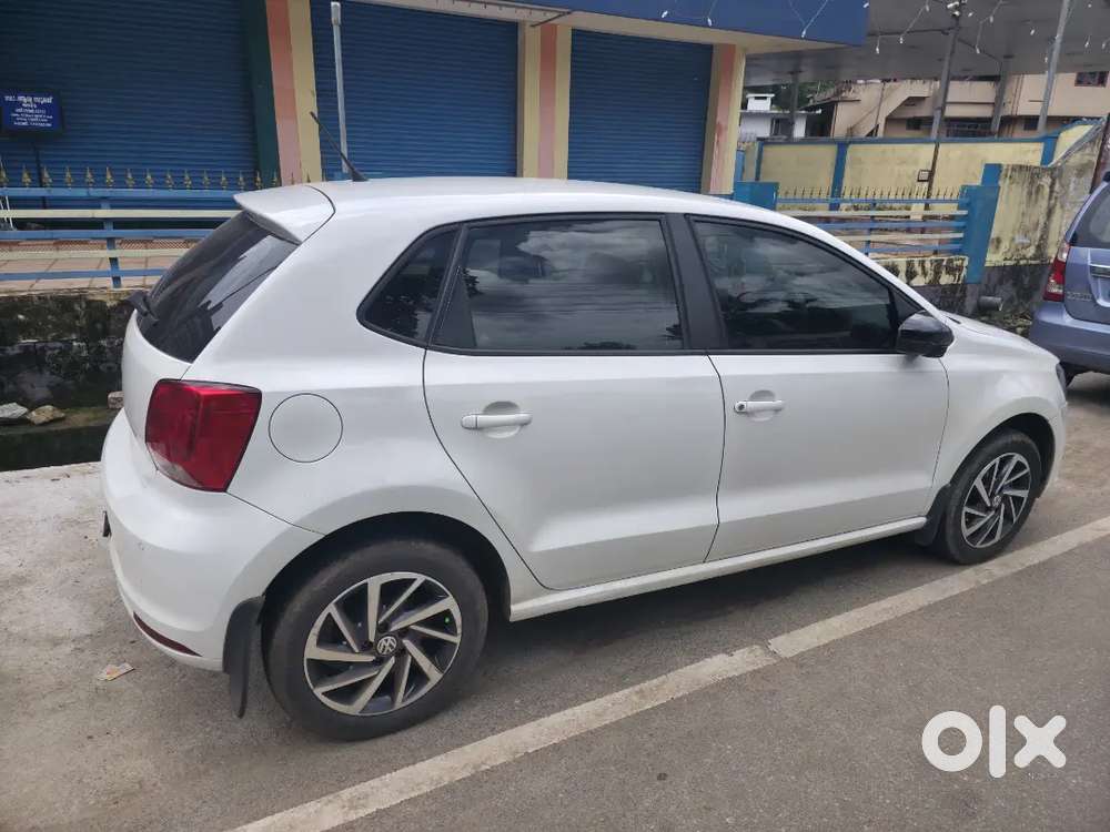 Family Used Polo Cup Edition For Sale