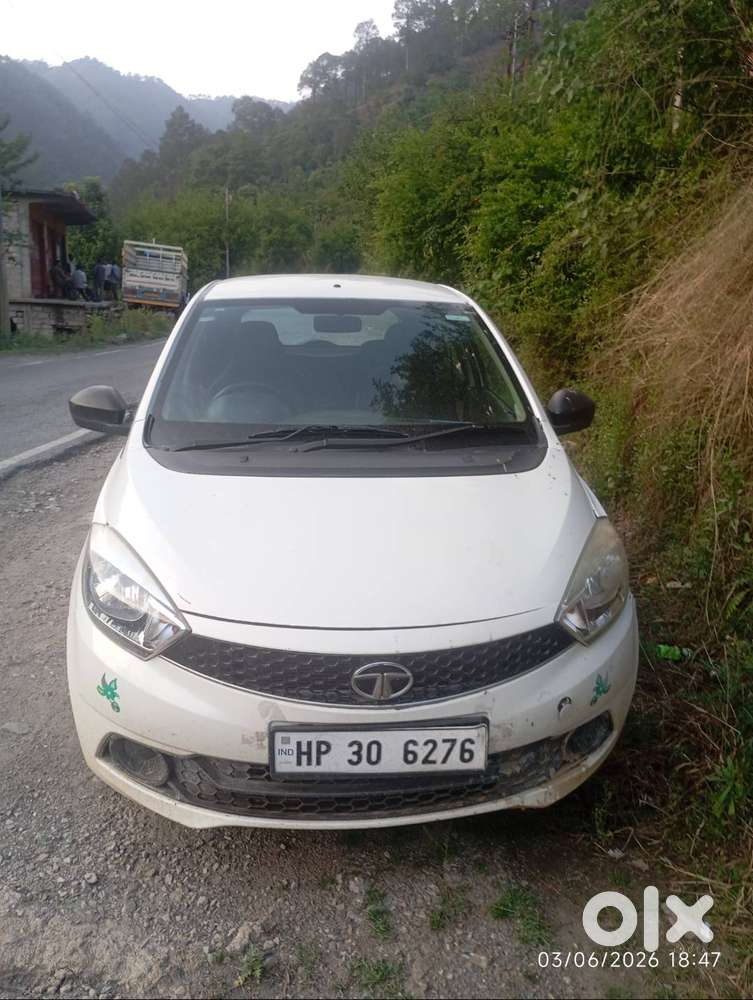 2019 Model