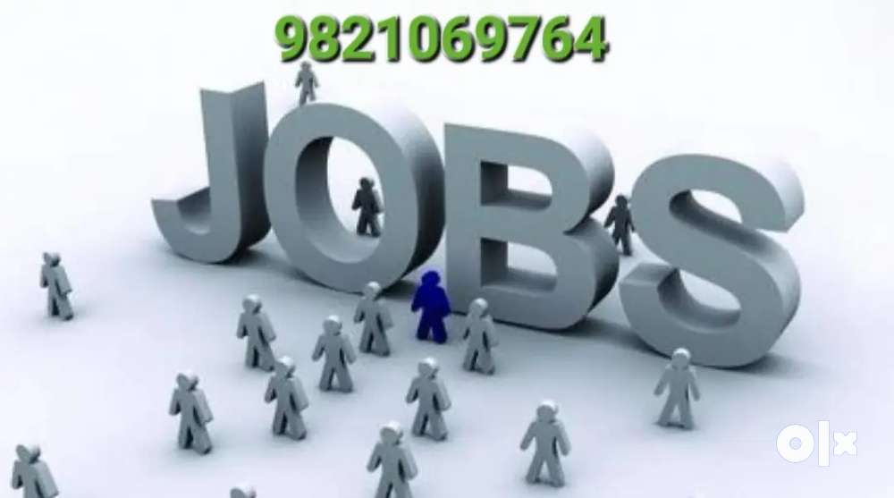 Cashier in powai Other Jobs 1763457009