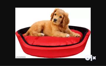 Dog bed olx hotsell