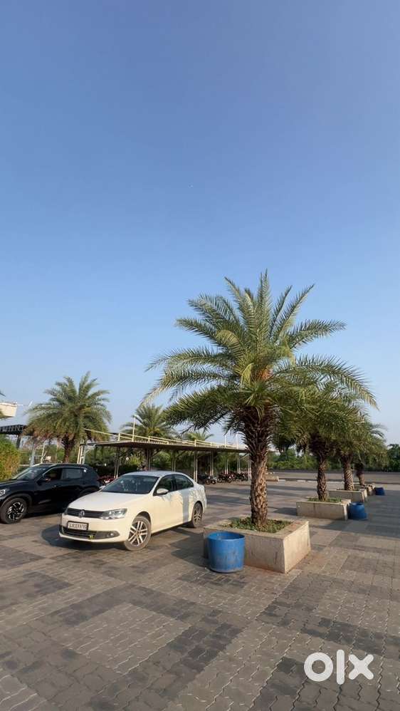Volkswagen Jetta 2013 Diesel Well Maintained
