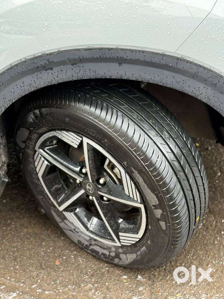 Tata Nexon, 2025, Cng & Hybrids