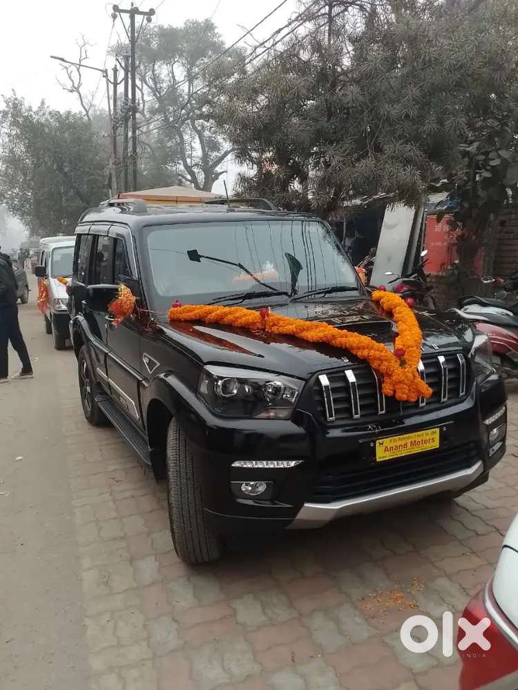 Scorpio S11 Classic For Sale