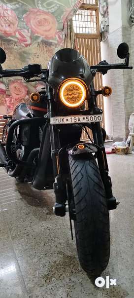 Harley davidson roadster olx hot sale